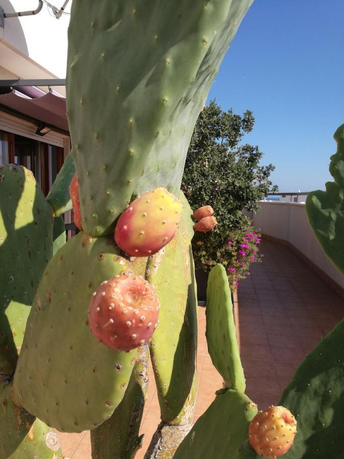 Isolaazzurra Appartement Monopoli Buitenkant foto